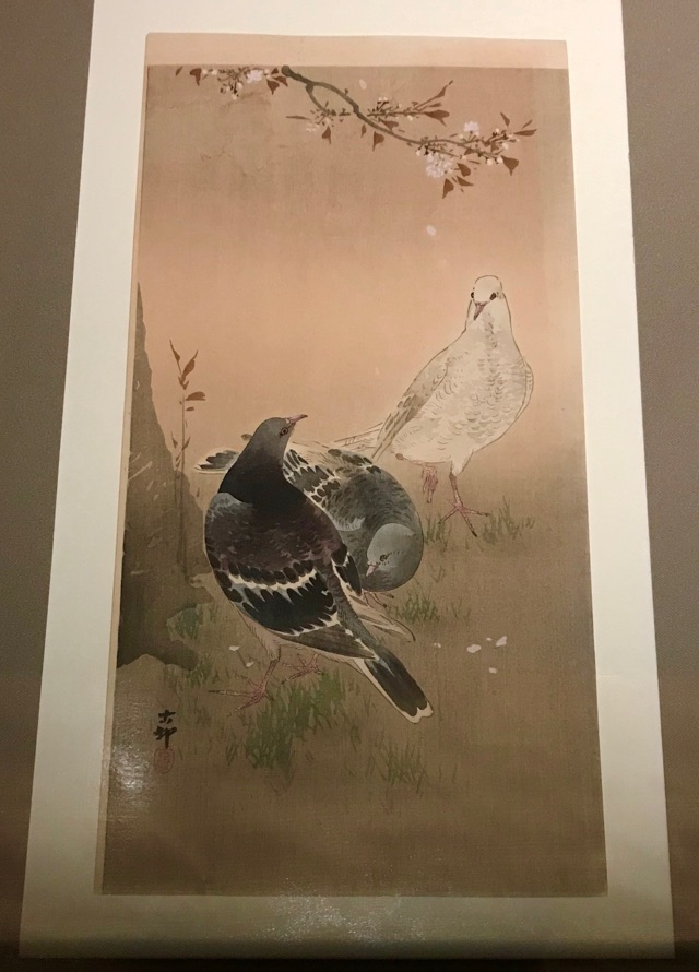 小原古邨　山桜に鳩